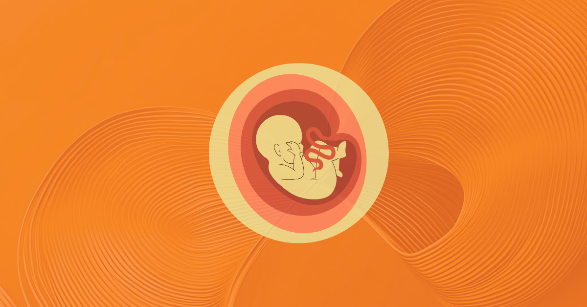 Blog  Reproductive Healthcare Privacy Protections Rolled Back - July 24, 2025 (1)